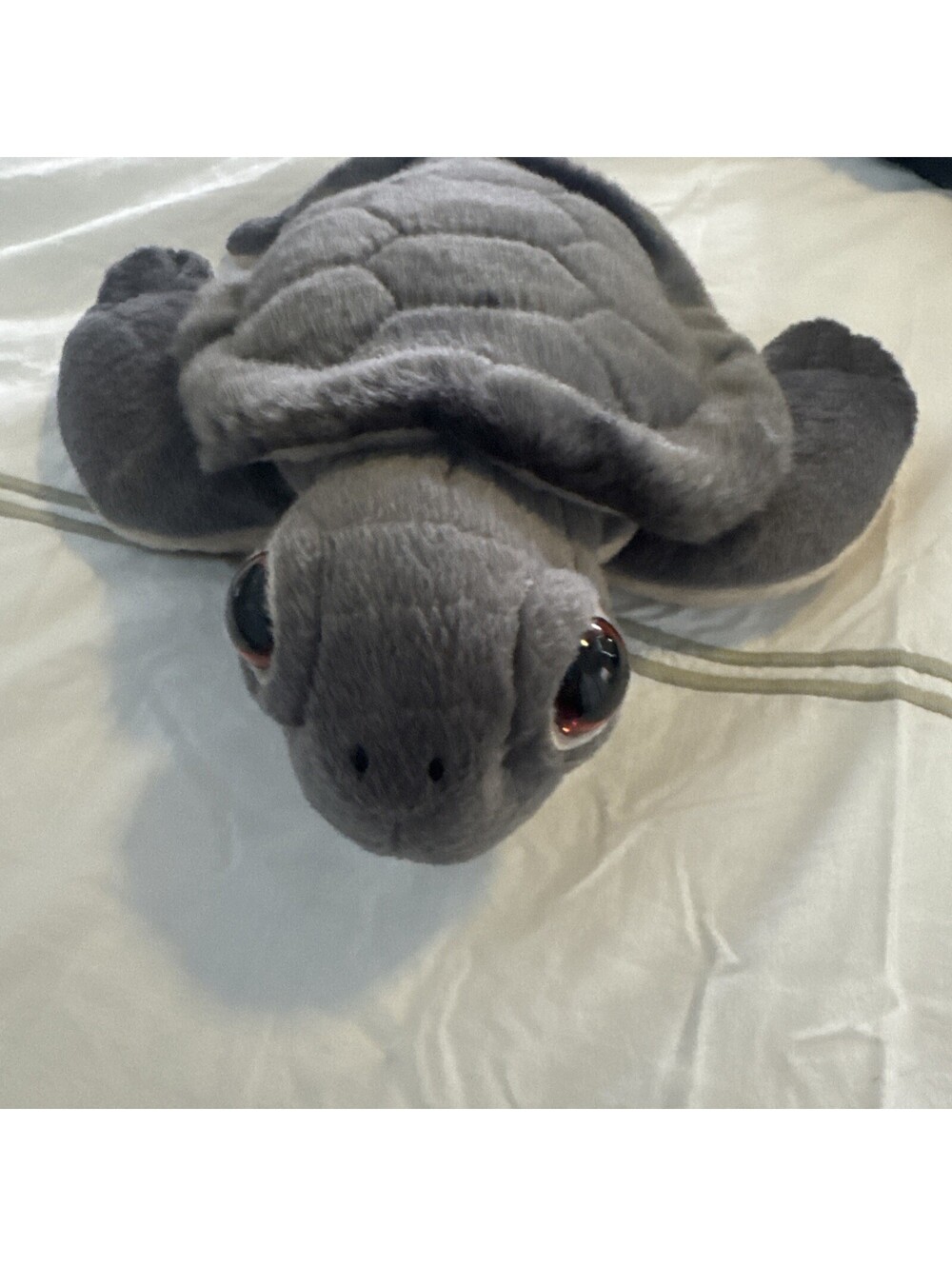 aurora turtle plush With Tags